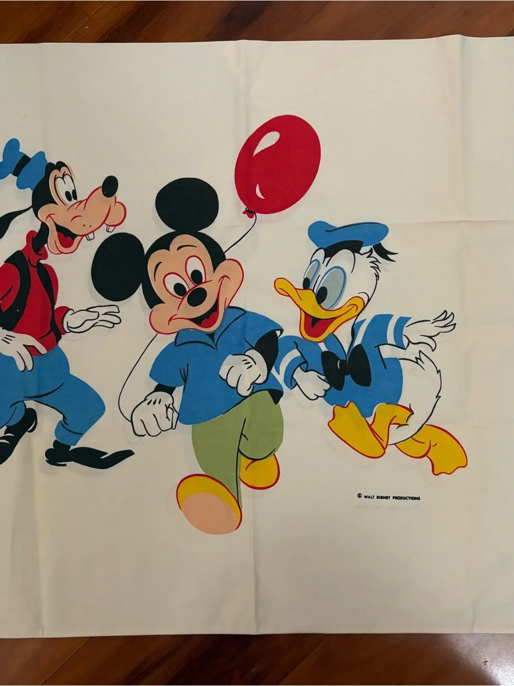 Vintage Disney pillowcases set of 2